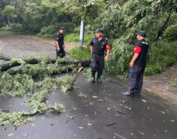 C:/Users/BA/Desktop/風(fēng)雨過后南京保安迅速行動(dòng)，恢復(fù)安“寧”面貌/7.jpg7